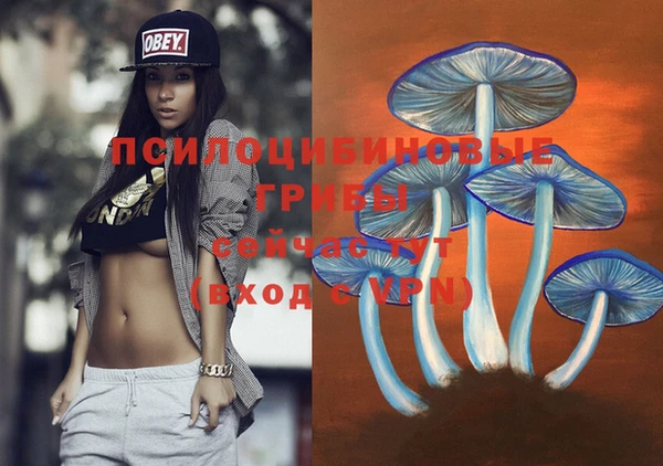 кристаллы Бородино